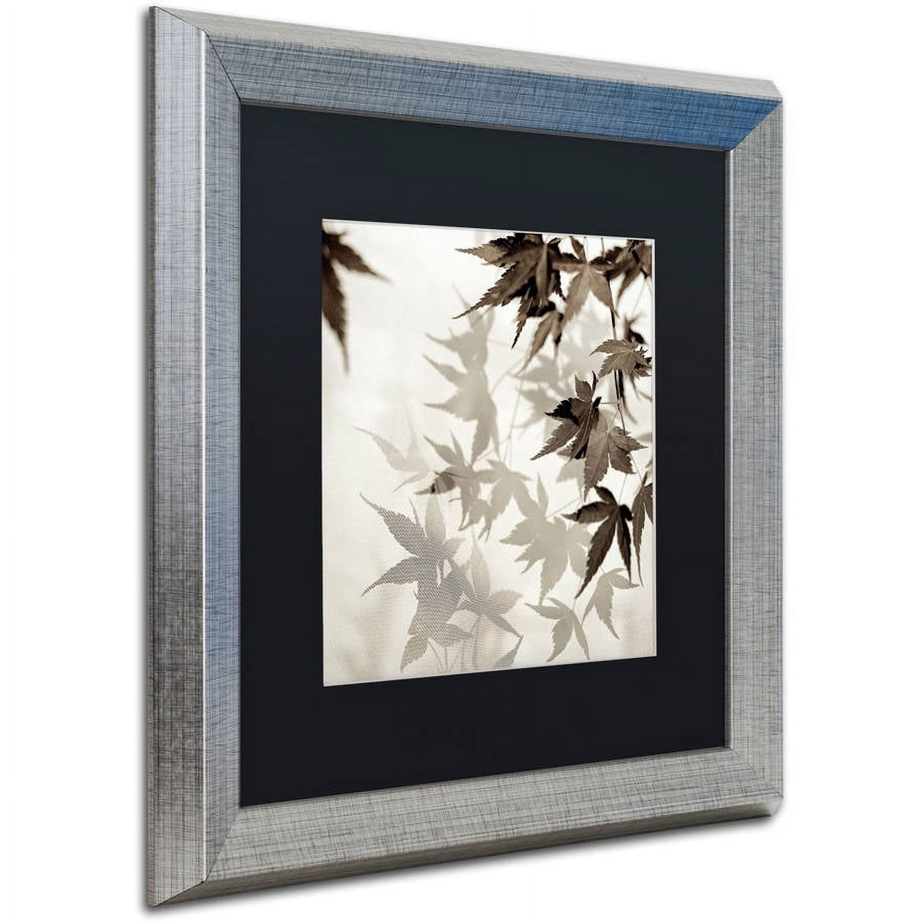 Trademark Fine Art "Florison 57" Canvas Art by Alan Blaustein, Black Matte, Silver Frame