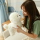 thumbnail image 4 of Juguete de simulación de Bichon Frise para perro, peluches de Pomerania, cachorros de cumpleaños, mascotas, amantes de las mascotas, 4 of 5