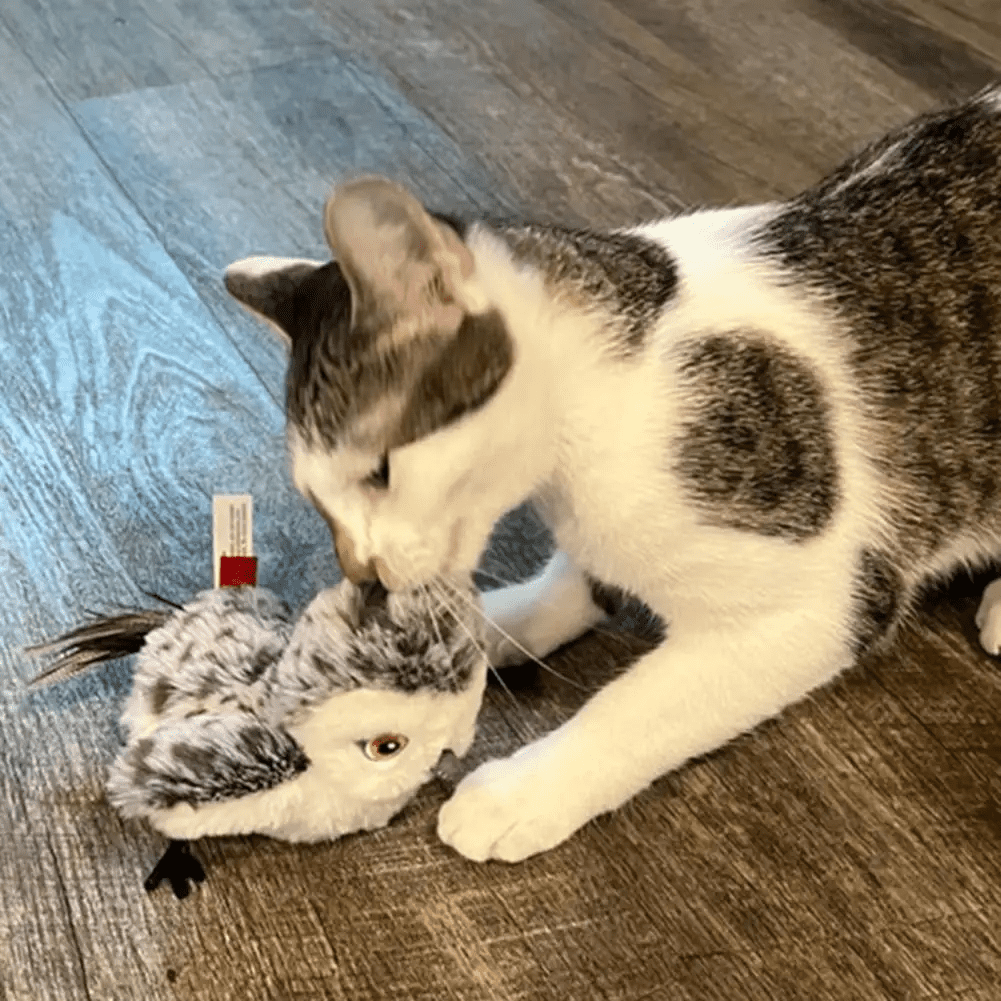 Cute and popular cat toys, simulated birds, touch sensitive cat toys, electric cat teasing, intelligent pet toys