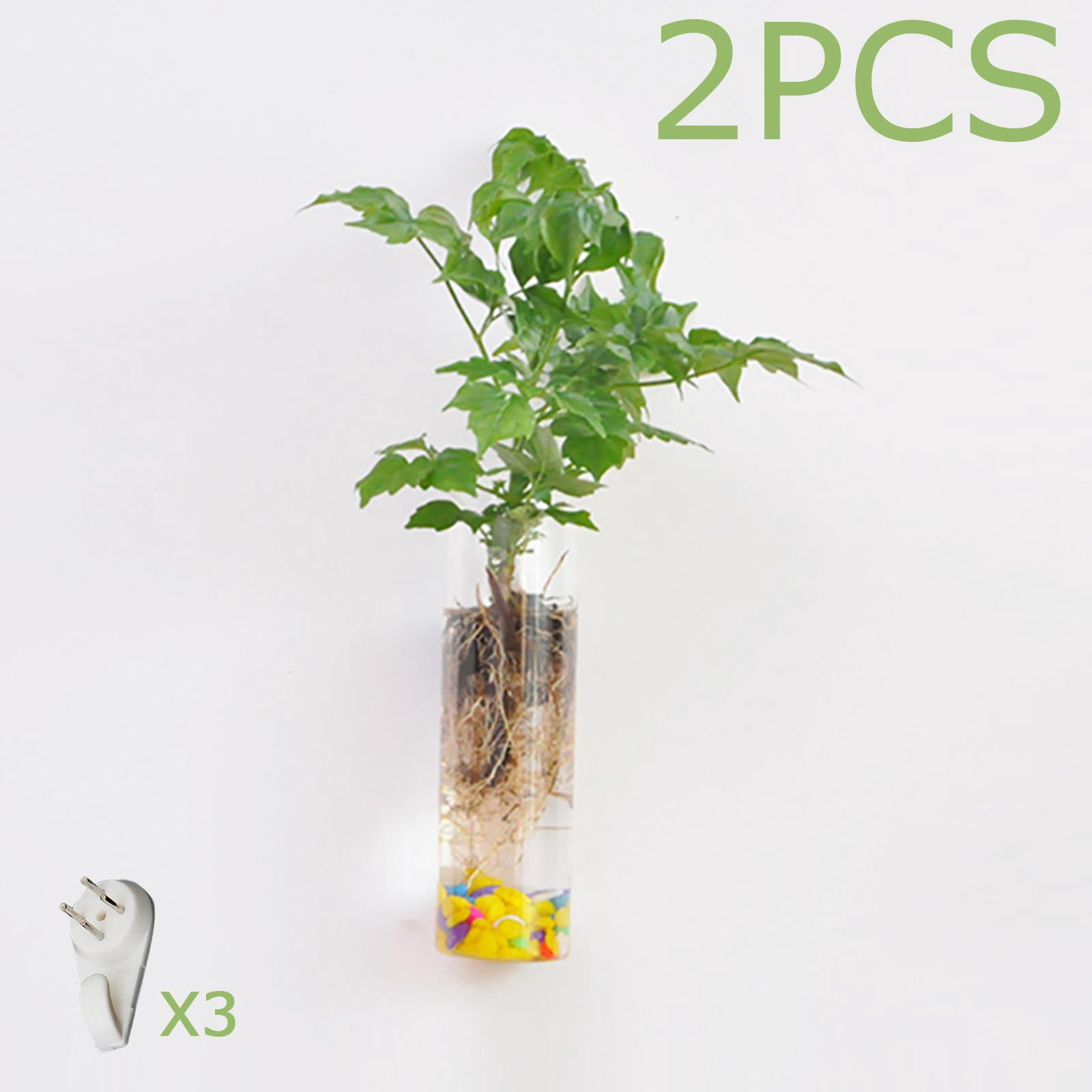 2Pcs Plant Propagation Stations Glass Wall Hanging Planter Terrarium Plant Holder Glass Tube Vase for Hydroponics Plants Home Office Decor