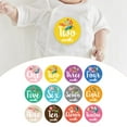thumbnail image 2 of 12Pcs Baby Monthly Stickers Flowers Shower Gift Keepsakes Memories Photo Props, 2 of 7