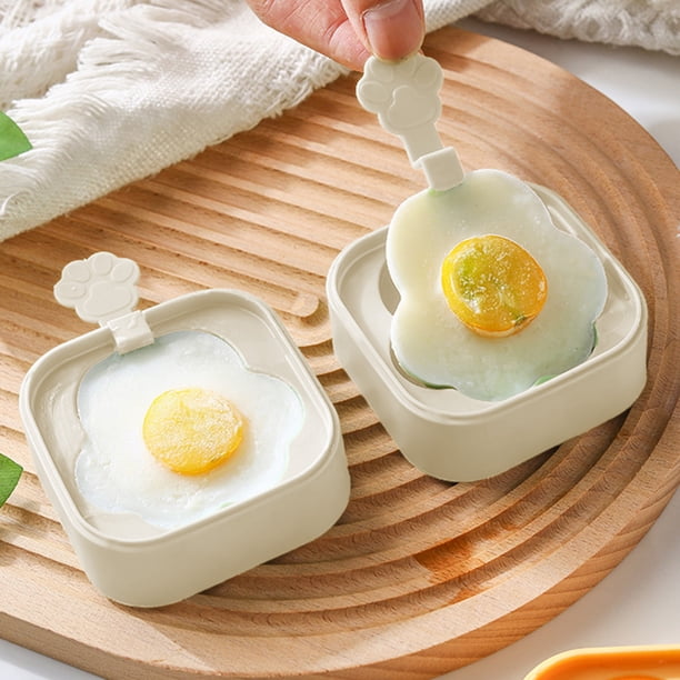 Moldes para paletas de helado, caja para paletas de helado, moldes de plástico caseros para el verano, diseño portátil de 2 niveles, plástico de grado alimenticio, para dormitorio