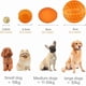 thumbnail image 2 of LaRoo Squeaky Dog Ball Toy, Durable Natural Rubber Squeaker Ball Floating Throwing Training, Teeth Cleaning Chew Toy for Pet Small Medium Large Dogs (6.5CM Orange), 2 of 5