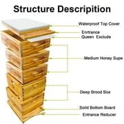 PRIJESSE 5-Layer Bee Hive for Beekeeping - 2 Deep & 3 Medium Boxes with Beeswax Coating, Ventilated Metal Roof (Frames Sold Separately)