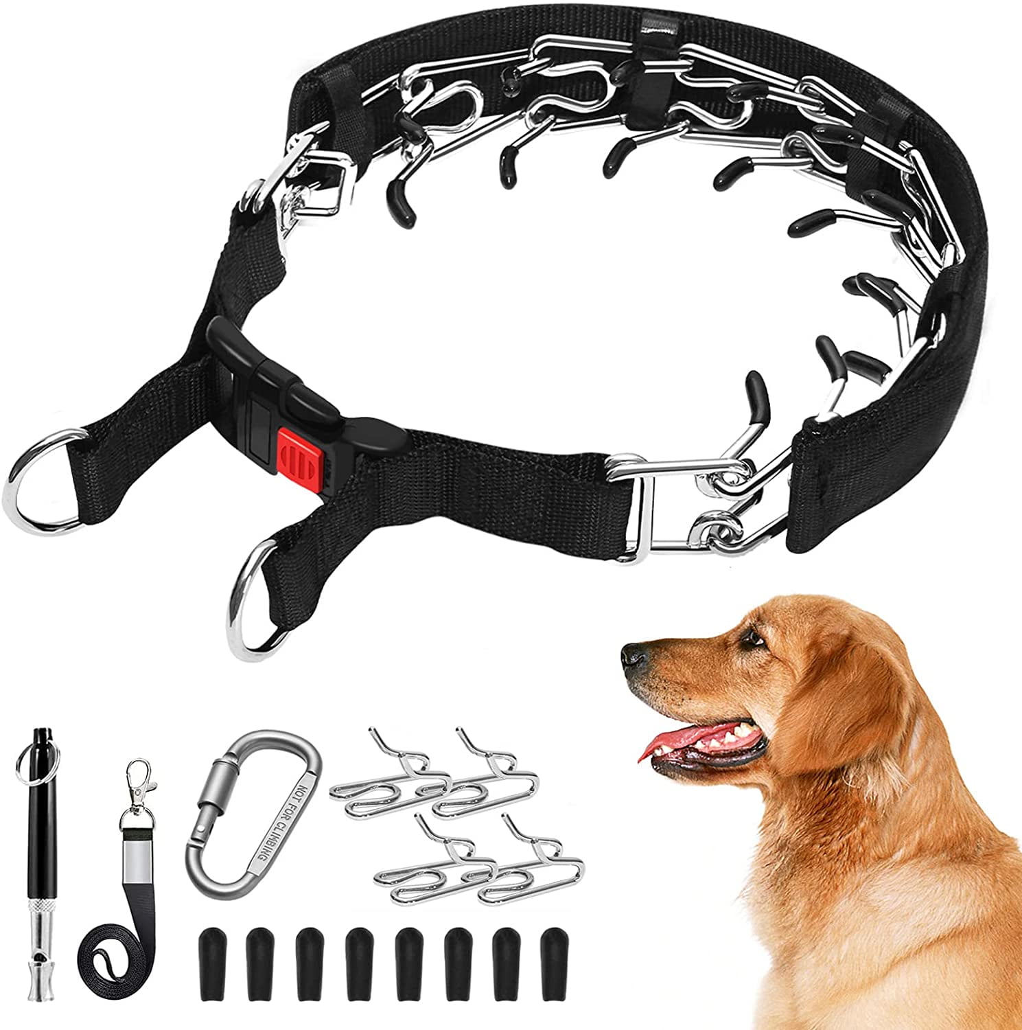 Are There Any Laws About Dog Training Collars