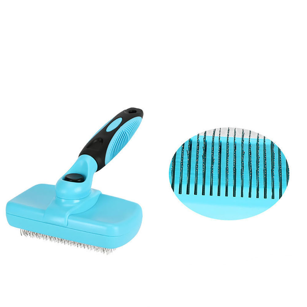 Can You Brush A Short Haired Dog