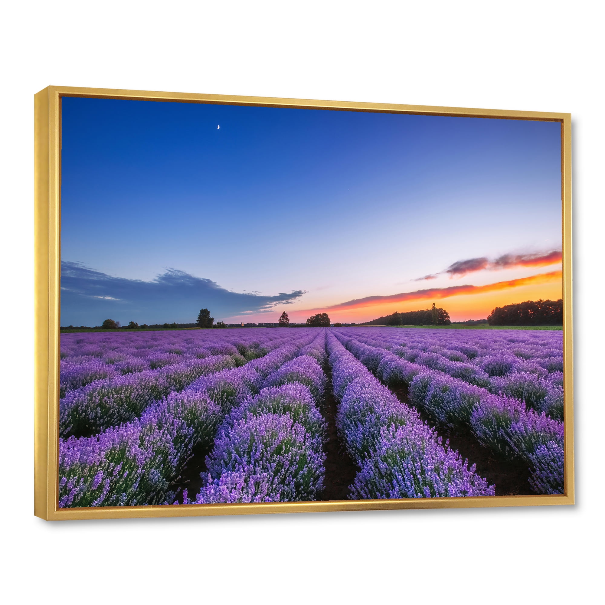 Designart 'Dramatic Clouds and Sunrise Over Lavender Field I' Farmhouse Framed Canvas Wall Art Print
