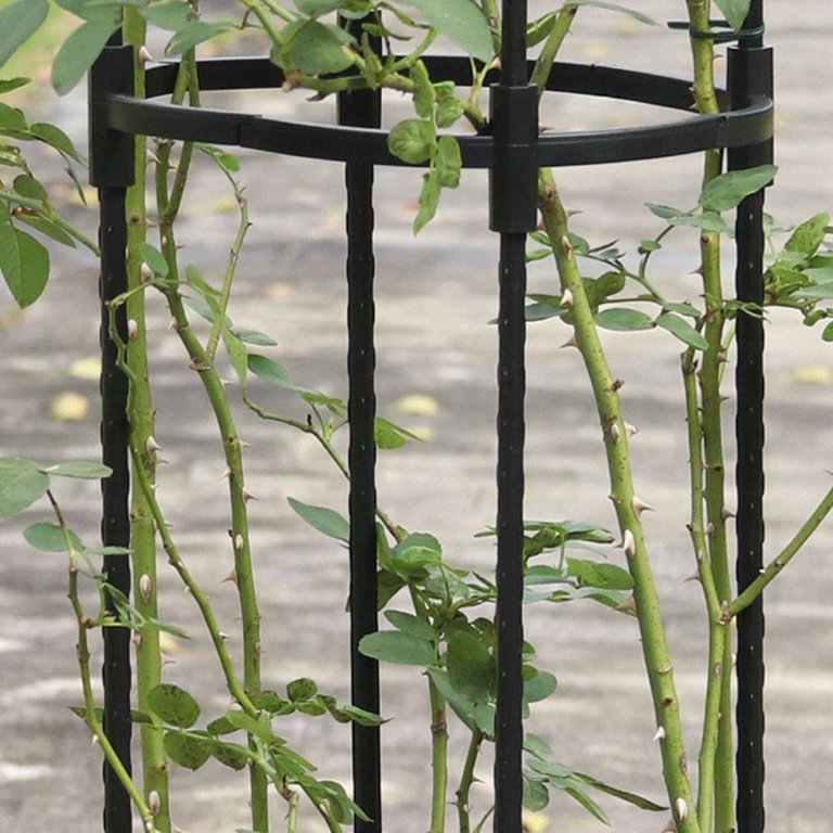Imshie Garden Trellis Tower Obelisk Garden Trellis For Climbing Plants 70 Inch Tall Plant Support Vine Supports Diy Climbing Trellis Flower Pots Supports Positive Walmart Com Imshie Garden Trellis Tower Obelisk Garden Trellis For Climbing Plants 70 Inch Tall Plant Support Vine Supports Diy Climbing Trellis Flower Pots Supports Positive Walmart Com