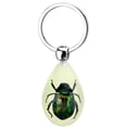 thumbnail image 1 of Forma De Insecto Brillante, Llavero Con Especímenes De Animales, Regalo Coleccionable De Resina Para Amigos Y Familiares sonducket HA044516-02, 1 of 6
