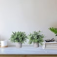 thumbnail image 4 of Set of 2 Faux Mini Potted Plants Artificial Eucalyptus Boxwood Plants in Pots Fake Greenery Arrangement for Rustic Farmhouse Indoor Table Centerpiece Mantel Shelf Kitchen Office Desk Decor A, 4 of 5