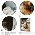 thumbnail image 3 of Designart "Bear Bubbles in Bathroom III" Illustration Canvas Wall Art - Modern Brown Laundry Hallway Wall Art Decor, 3 of 6