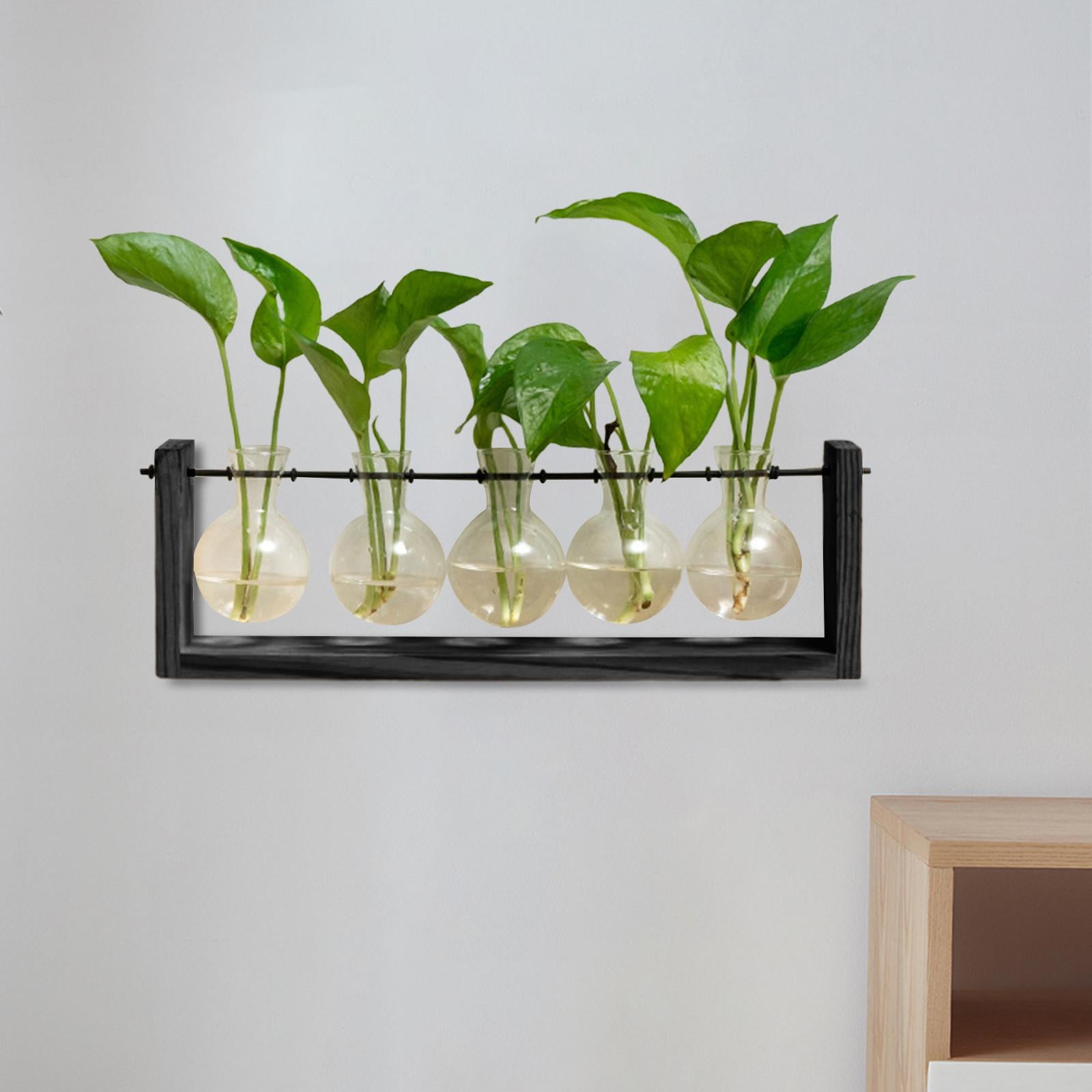 WLPZXP Glass Hanging Planter Hydroponic Vase Wall Mounted Plant Propagation with Wooden 38cmx12.5cm