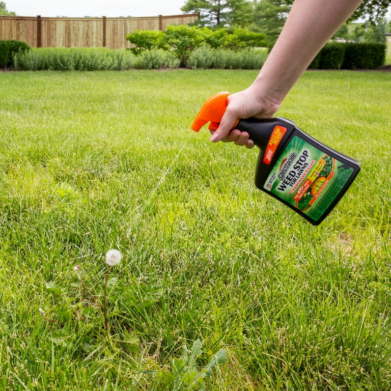 Crabgrass killer 2024
