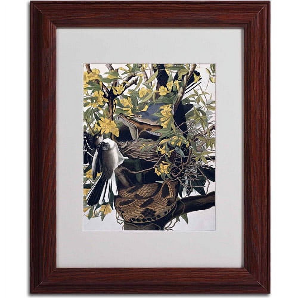 Trademark Fine Art "Mocking Birds and Snake" Canvas Art by John James Audubon, Wood Frame