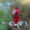 thumbnail image 7 of Perky-Pet Red Hobnail Vintage Hummingbird Feeder - 16 oz, 7 of 7