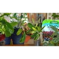 thumbnail image 6 of Espoma Organic Potting Soil Mix - 2 CU FT, 6 of 7