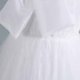 thumbnail image 5 of Sleeveless Fluffy Summer Dresses Toddler Princess Dress Casual Party Tulle Sundress for Kid Fashion Mesh Gauze Dress Sparkly Sequin Birthday Prom Outfit Ball Gown for Little Girls（5-14 Years）, 5 of 8