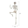 thumbnail image 3 of WAY TO CELEBRATE 60IN POSABLE SKELETN, 3 of 6