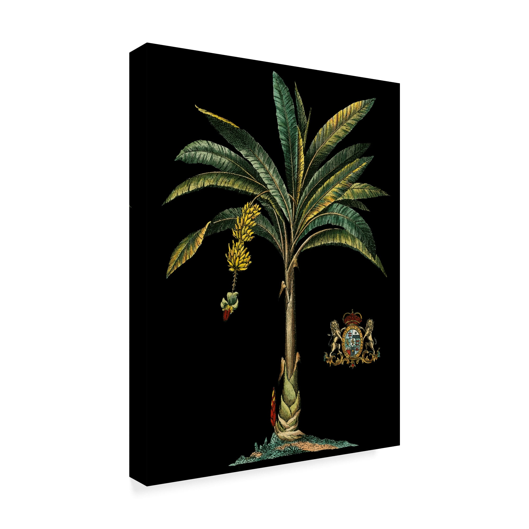 Trademark Fine Art 'Palm and Crest on Black I' Canvas Art by Vision Studio