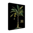thumbnail image 2 of Trademark Fine Art 'Palm and Crest on Black I' Canvas Art by Vision Studio, 2 of 4