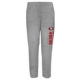 thumbnail image 3 of Toddler Outerstuff  Heather Gray San Francisco 49ers Crewneck Sweatshirt & Pants Set, 3 of 3