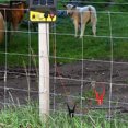 thumbnail image 2 of 2Pcs Electric Farm Fence Jump Connector Fencing System Wire Electric Fence Jump Cable, 2 of 5