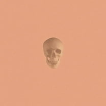 Pomegranates - One of Us - Music & Performance - CD