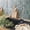 Casa Grey, variant on Peel And Stick Backsplash - 5 Sheets Of 11.43'' X 9'' 3d Adhesive Tile For Kitchen Bathroom Wall Sefrou Green
