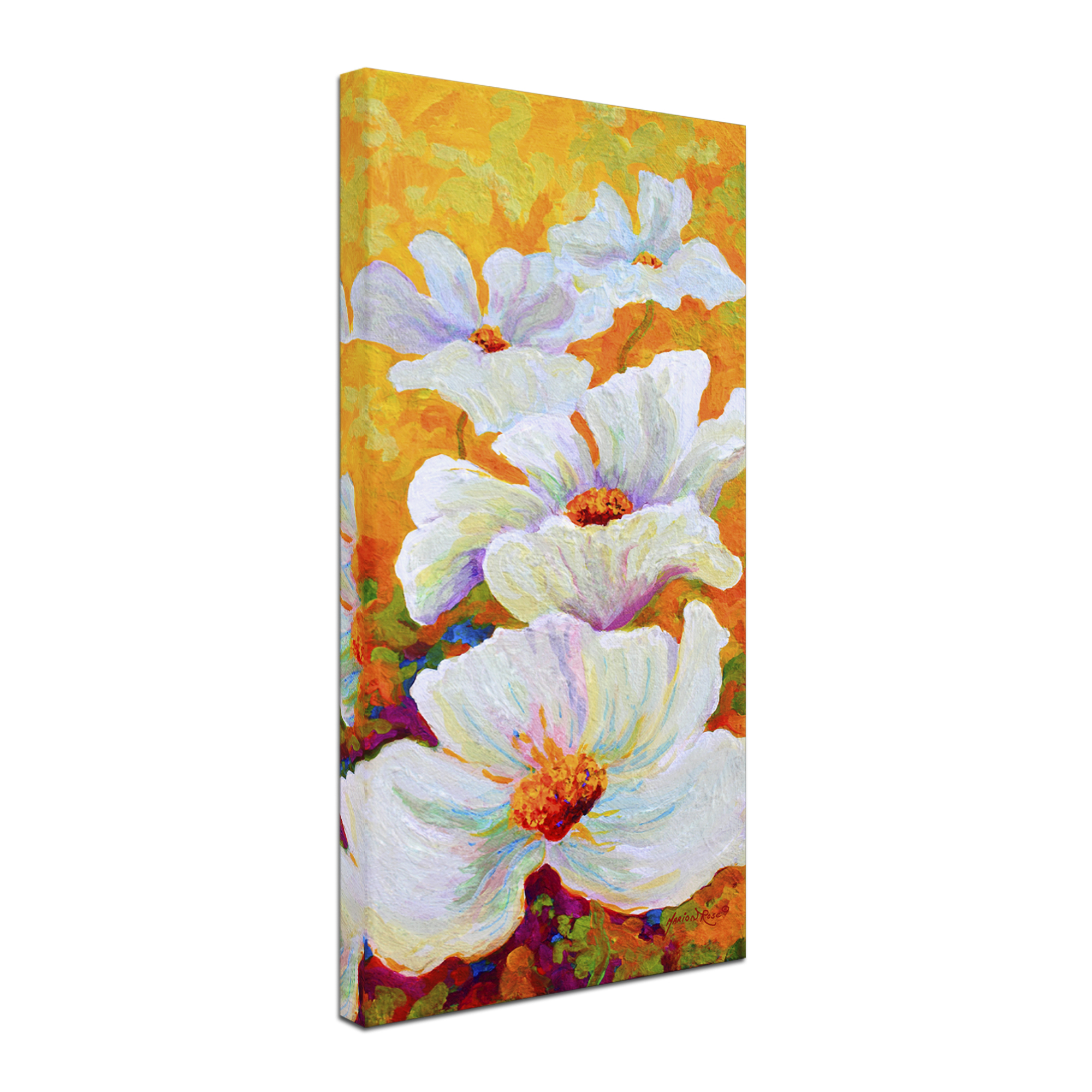 Trademark Fine Art 'Meadow Angels' Canvas Art by Marion Rose