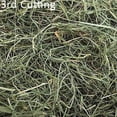 thumbnail image 3 of Small Pet Select-Sampler Box, 2ND Cutting, 3RD Cutting Timothy Hay, Oat Hay, & Orchard Hay, 3 of 7
