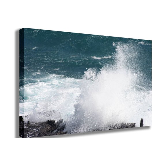 Howard Blowhole I Canvas Print