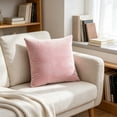 thumbnail image 4 of Dvumao Solid Color Velvet Pillow Cover, Sofa Cushion Cover for Living Room and Bedroom, Hidden Zipper, Machine Washable, 4 of 5