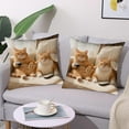 thumbnail image 6 of Qiweii 45x45cm Cute Animal-Print Pillow Set, Soft Sofa Living Room Bedroom Cushions, Decorative Home Accent Pillows, 6 of 6