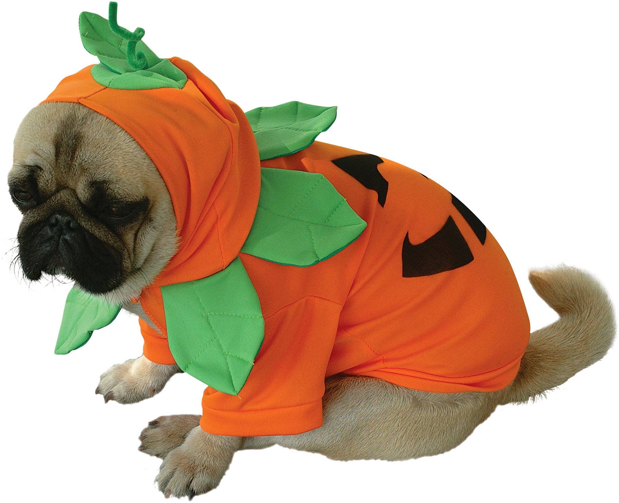 Pumpkin Pooch Pet Halloween Costume - Walmart.com
