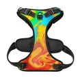 thumbnail image 3 of TEQUAN Medium Dog Harness with Leash, Dazzling Color Liquid Painting Prints Reflective No Pull Adjustable Pet Vest (M), 3 of 7