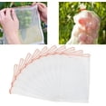 thumbnail image 1 of Jinsinto 50 PCS Fruit Protection Bag Mesh Bag Against Insects Plant Protection Bag with Drawstring Anti-Insect Mesh Bags Insect Bag 20*30cm for Grapes, Apples, Birds, 1 of 5