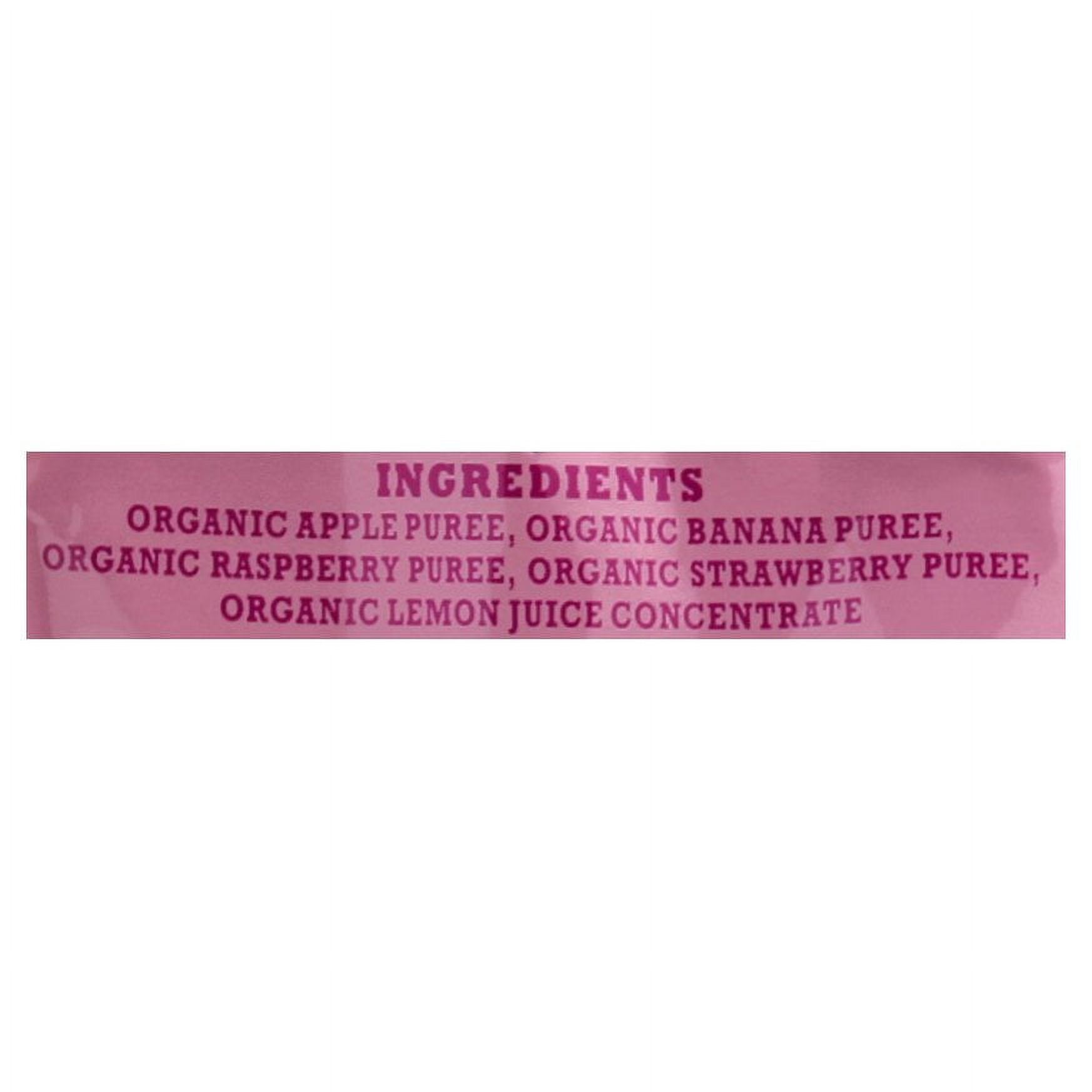 (3 pack) Paw Patrol Really Raspberry Organic Mixed Fruit Puree, 3.5 oz Toddler Snack