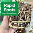 thumbnail image 6 of Noot Organic Plant Food Liquid Fertilizer with Root Boosting Strains of Mycorrhizae & Rhizobacteria. Works for All Indoor Houseplants, Fern, Succulent, Aroid, Philodendron, Orchid, Fiddle Leaf Fig., 6 of 7