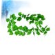 thumbnail image 4 of unbranded 2Ud Simulada De Hojas Para De Pared Y Fiesta, 4 of 6