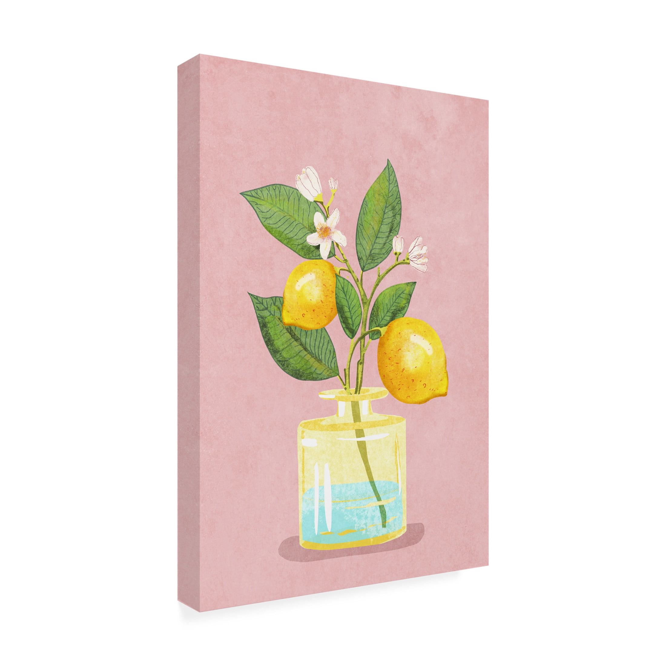 Trademark Fine Art Raissa Oltmanns  Lemon Bunch In Vase Canvas Wall Art