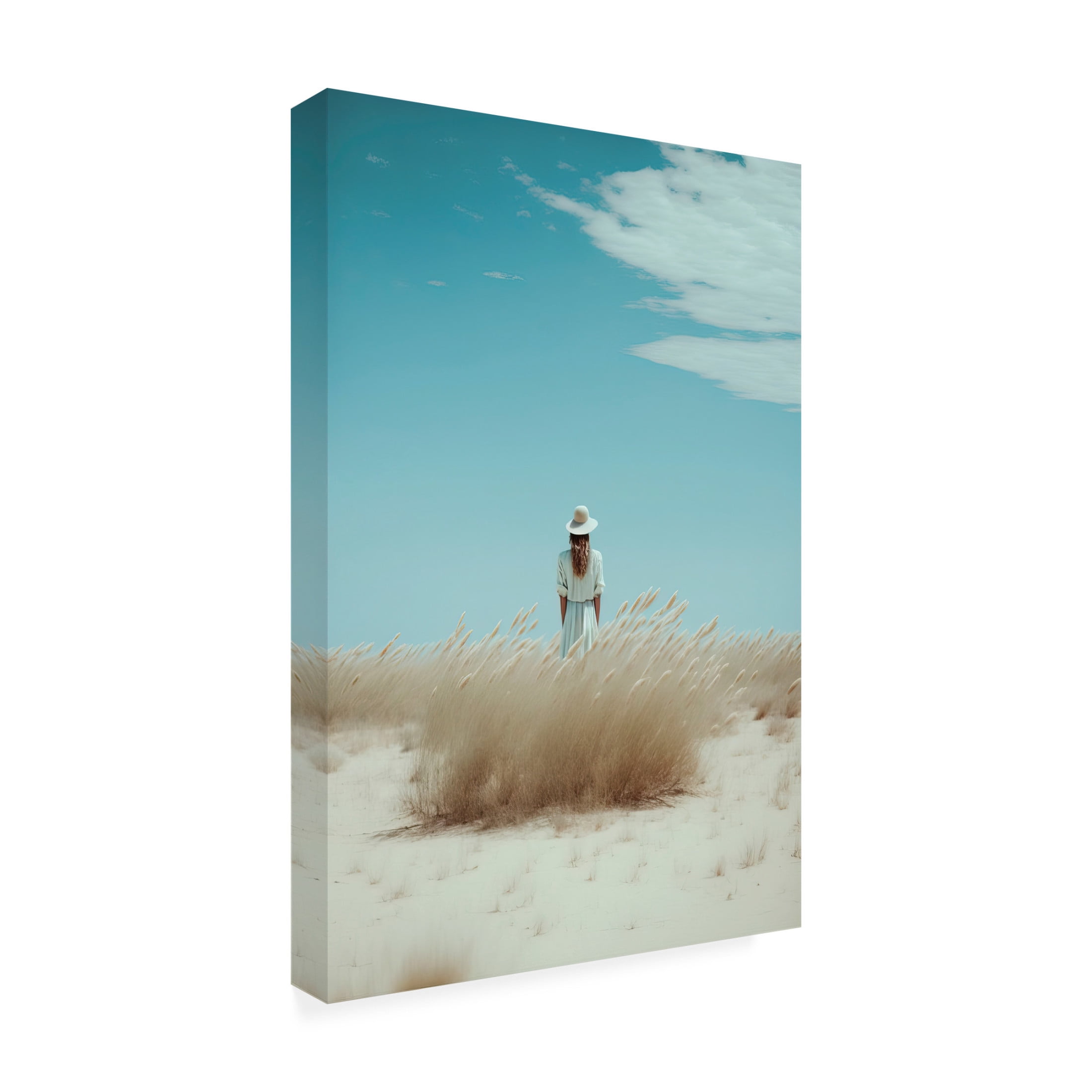 Canvas Wall Art - Treechild 'In The Dunes' Wall Art for Living Room, Bedroom, or Office D?cor by Trademark Fine Art - 12 x 19 Inches