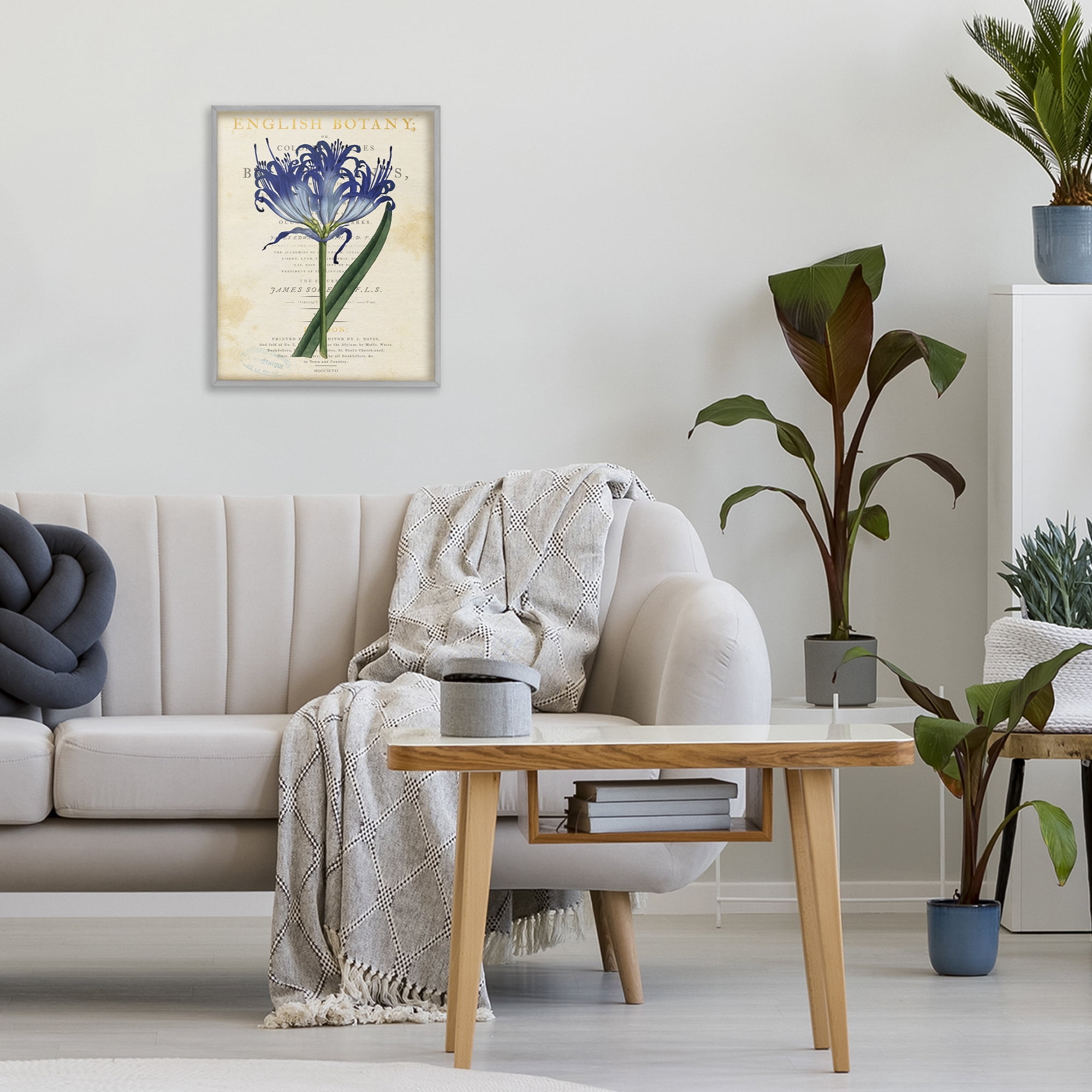 Stupell Industries English Botany Blue Floral Gray Framed Giclee Art, design by Susan Arnot