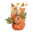 thumbnail image 1 of segolike Citrouille d'Automne Décor Récolte Décoratif pour Cuisine Fête Centre de Table Style D, 1 of 9