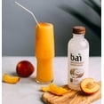 thumbnail image 3 of Bai Coconut Flavored Water, Molokai Coconut, Antioxidant Infused Drinks, 18 Fluid Ounce Bottles, 12 count, 3 of 7