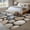 Gray, variant on Area Rug for Living Room, Pebble Stone Non-Slip Indoor Large Carpet for Bedroom/Dining Room, Modern Minimalist Nature Art Aesthetics Washable Low-Profile Rectangle Floor Runner Rugs - 5 x 7 Ft