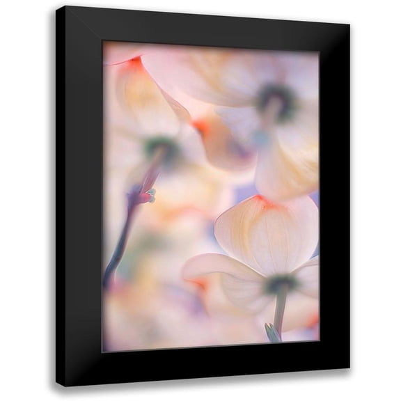 Casanova, Francois 11x14 Black Modern Framed Museum Art Print Titled - Under the skirts of flowers