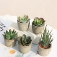 thumbnail image 3 of 5 Pack Potted Fake Succulents Pot Artificial Simulation Plants Sets for Home Kitchen Garden Office Wedding Party Room Decor Gift, 3 of 9