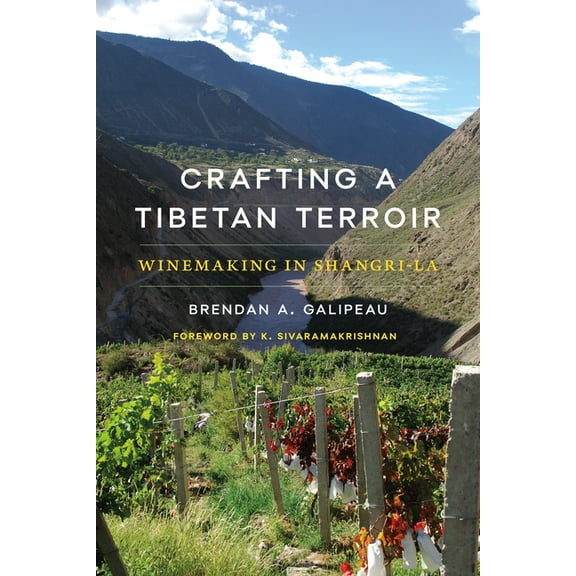 Culture, Place, and Nature Crafting a Tibetan Terroir: Winemaking in Shangri-La, (Paperback)