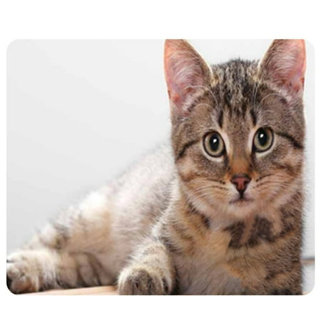 Tapis De Souris Cat 5 Tapis De Souris De Jeu Anti Derapant Pour Photo De Chat Mignon Pour Ordinateur Portable Mackbook Walmart Canada Tapis De Souris Cat 5 Tapis De Souris De Jeu Anti Derapant Pour Photo De Chat Mignon Pour Ordinateur Portable Mackbook Walmart Canada