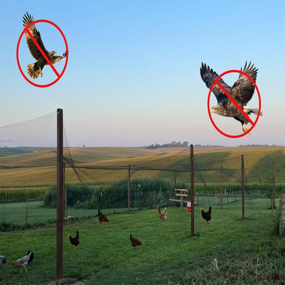 Bird Netting for Chicken Coop, 25X100FT Heavy Duty Poultry Netting for Chicken Run Roof Cover, 1In Mesh Garden Netting for Blueberry Bushes, Fruit Trees Against Bird，Hawk,Small Animals